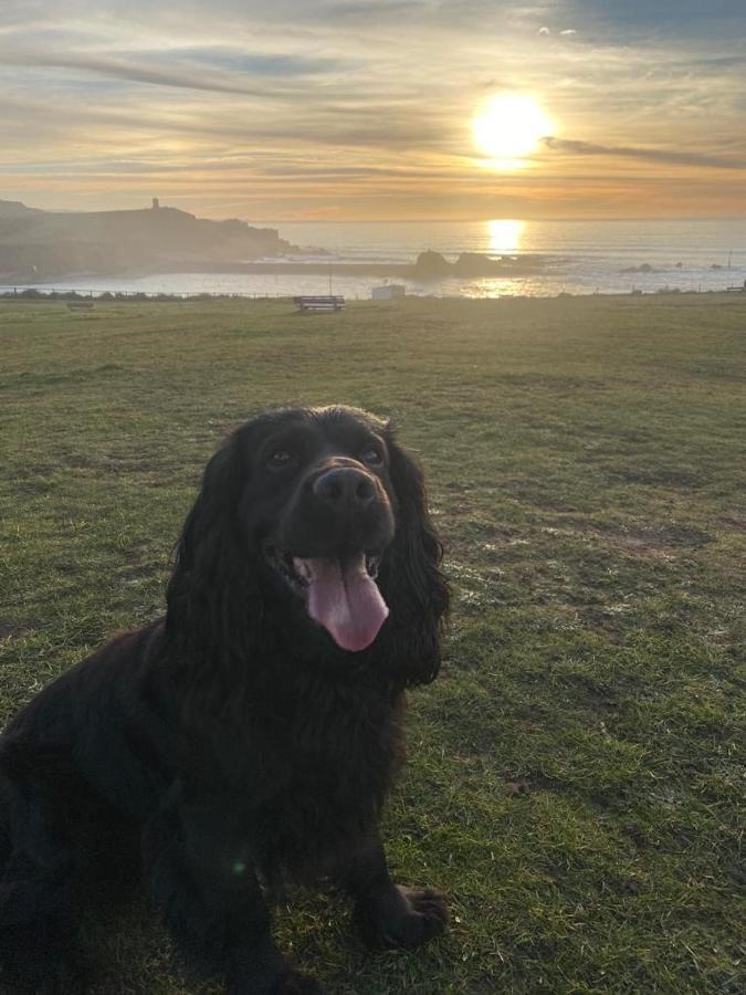 Pentire Coastal Holiday Park Bude Dış mekan fotoğraf